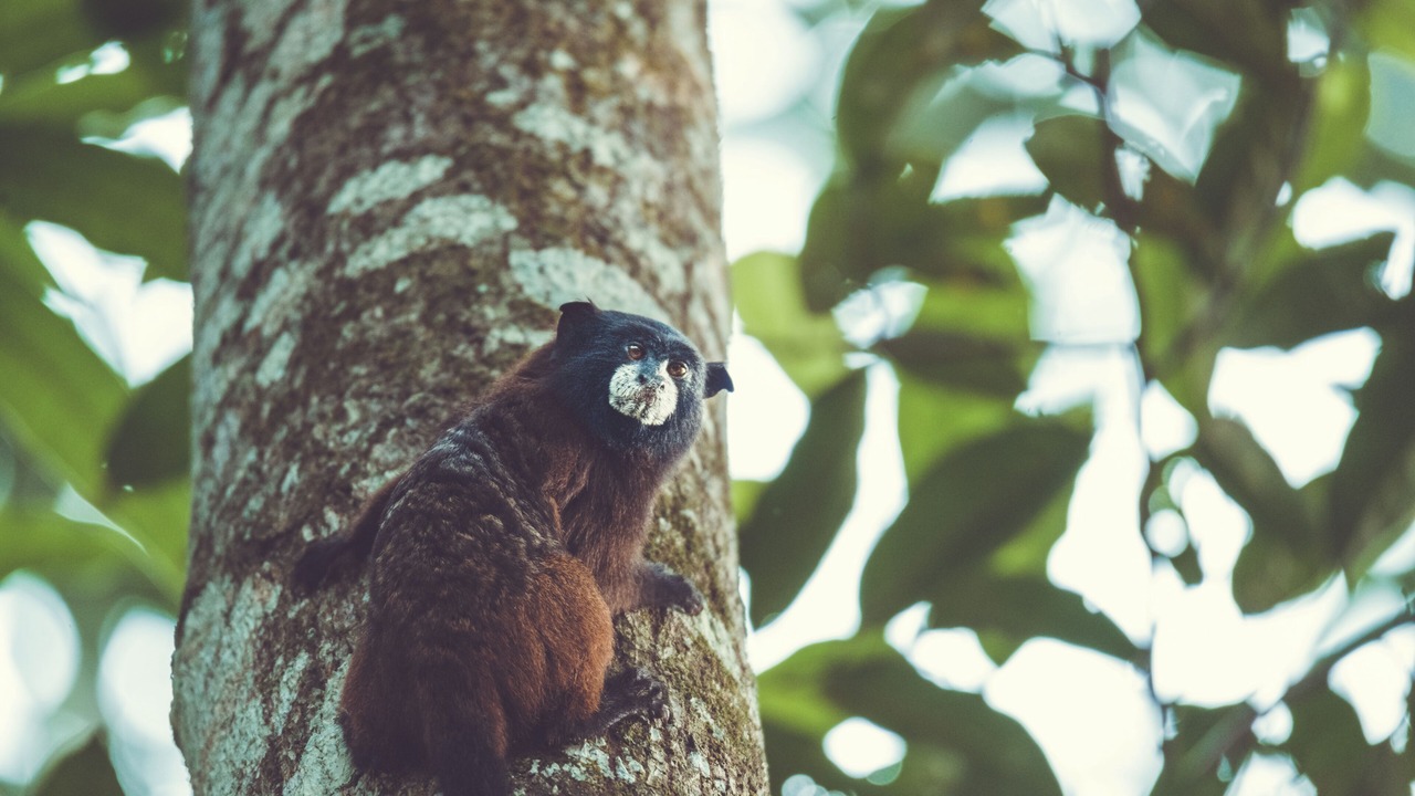 Photo of Outdoor in Tarapoto