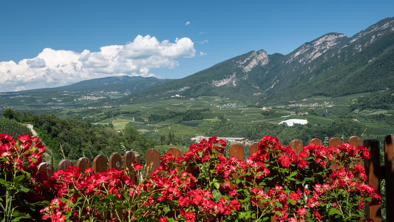 Photo of Outdoor in Dercolo