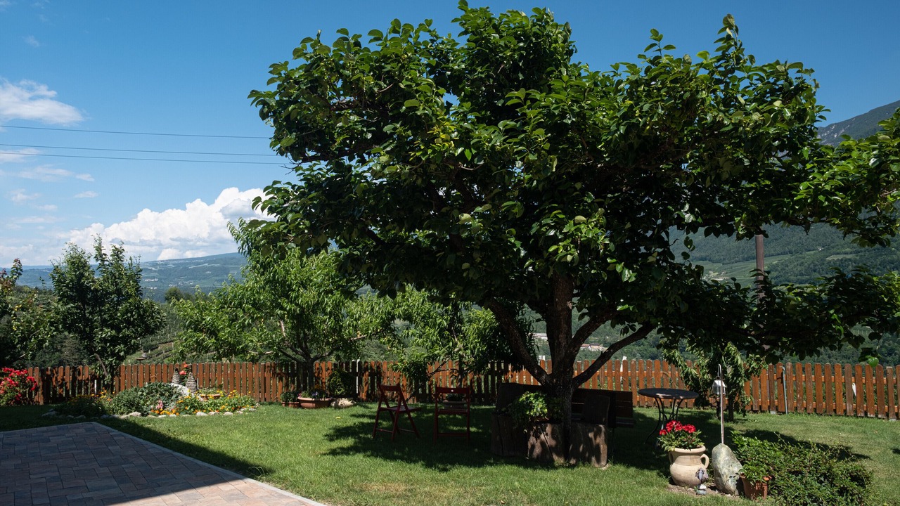 Photo of Outdoor in Dercolo