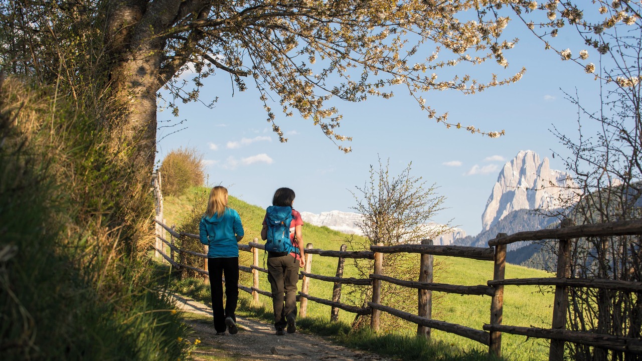 Photo of Outdoor in Lajen