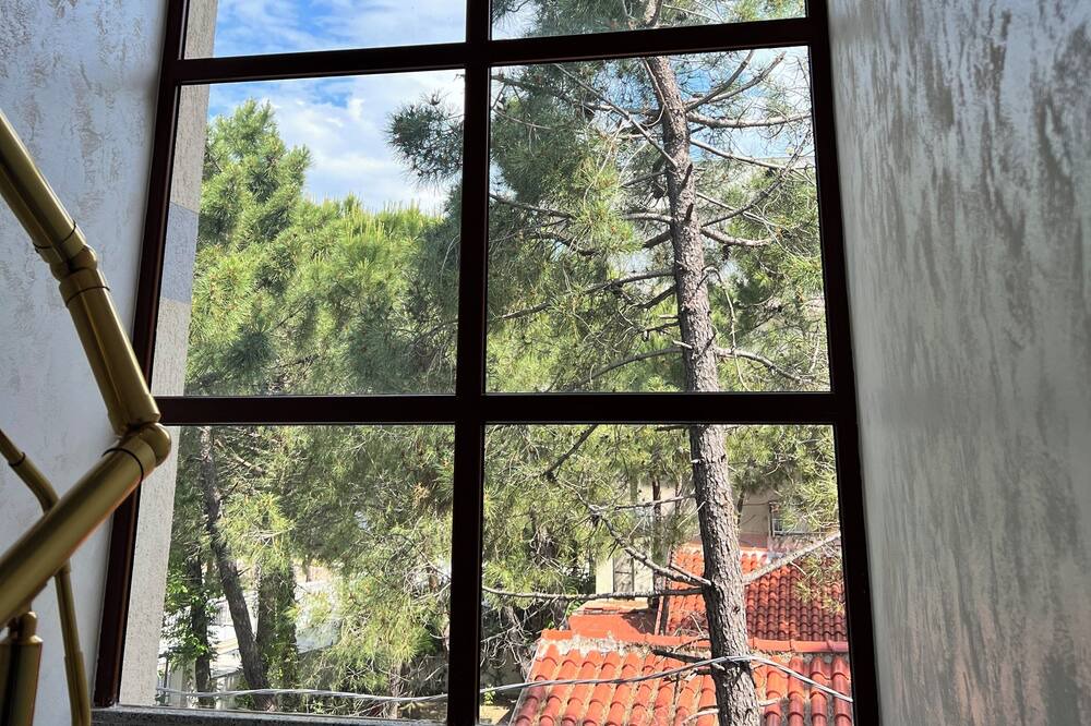 Photo of Others in Velipoje