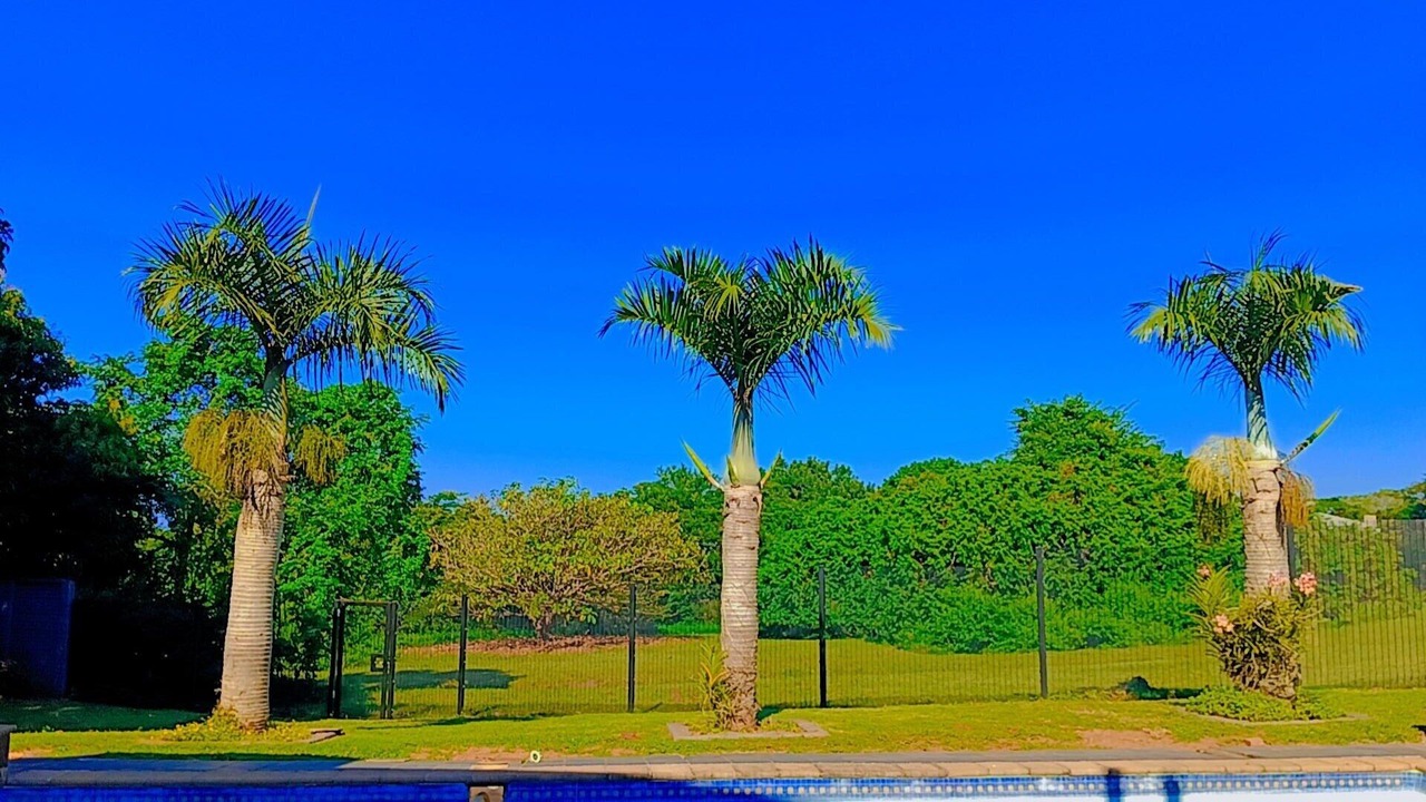 Photo of Outdoor in Mtunzini