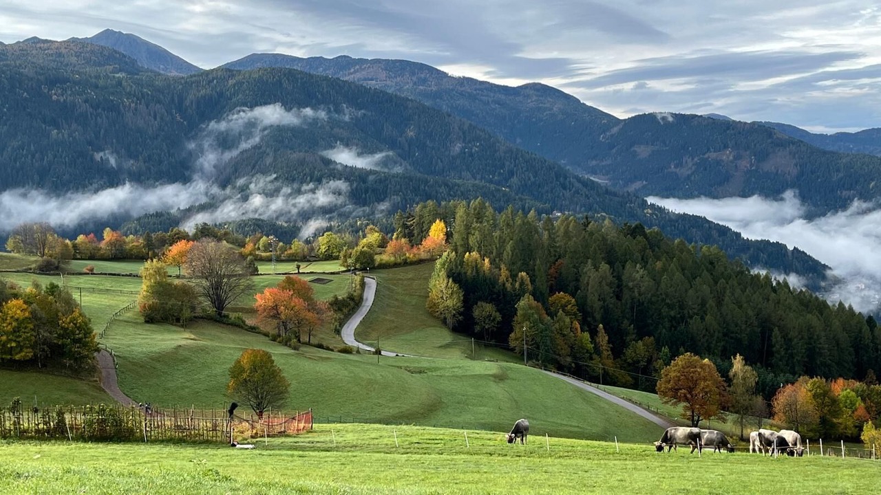 Photo of Outdoor in Anterivo