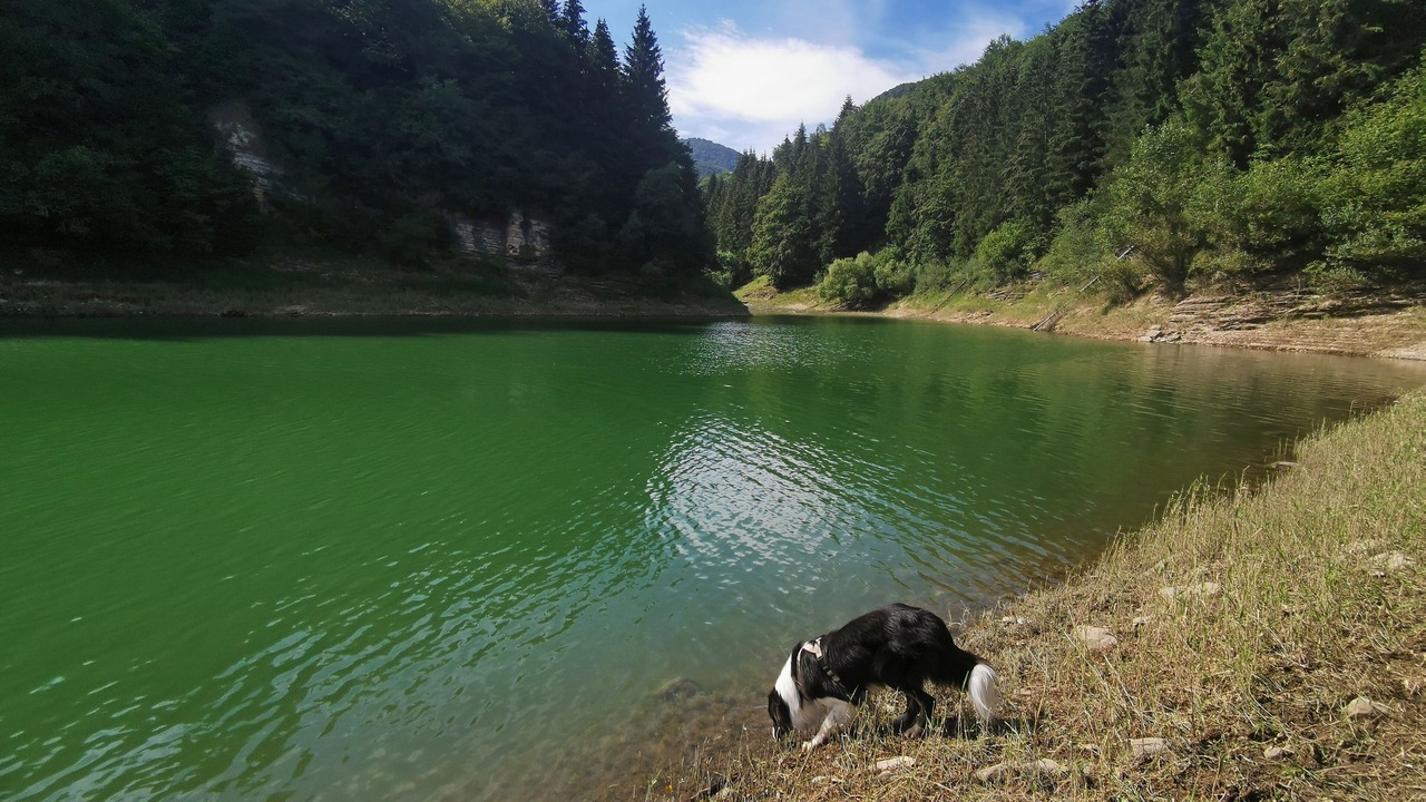 Photo of Outdoor in Polsa