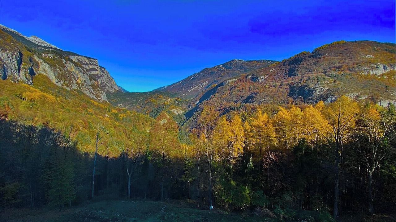 Photo of Outdoor in Ranzo
