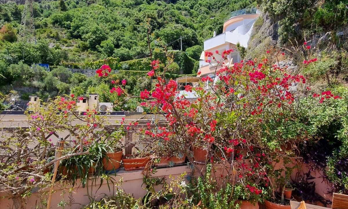 Photo of Outdoor in Positano City Centre