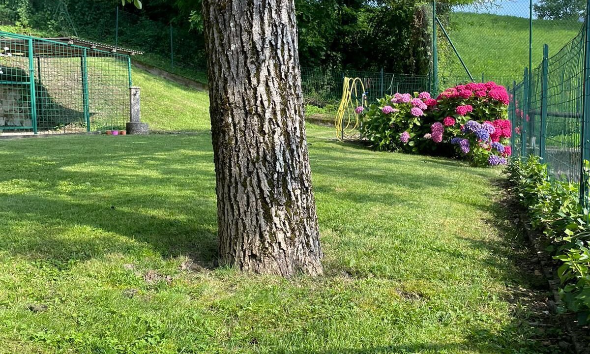 Photo of Outdoor in Tenna