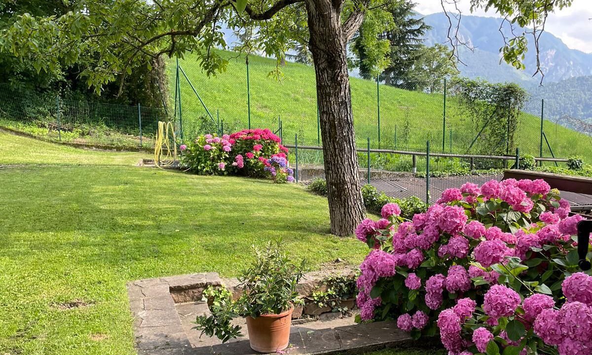 Photo of Outdoor in Tenna