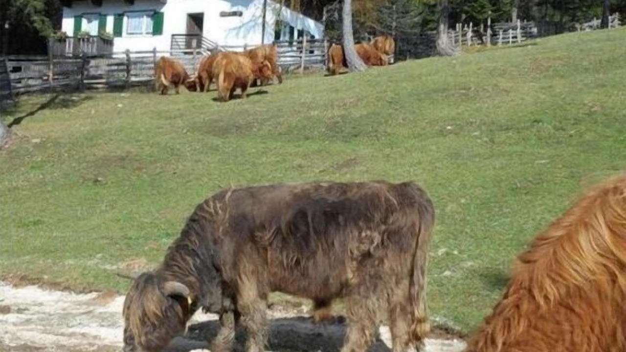 Photo of Outdoor in Senale San Felice