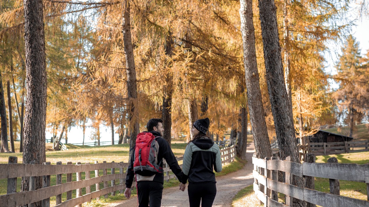 Photo of Outdoor in San Genesio Atesino