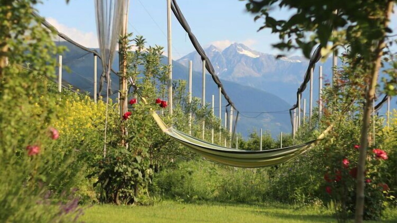 Photo of Outdoor in Nalles