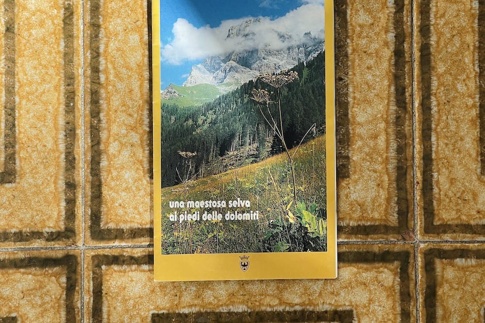 Photo of Others in San Martino di Castrozza