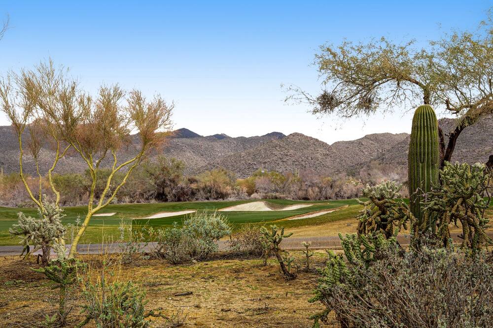 Photo of Others in Dove Mountain