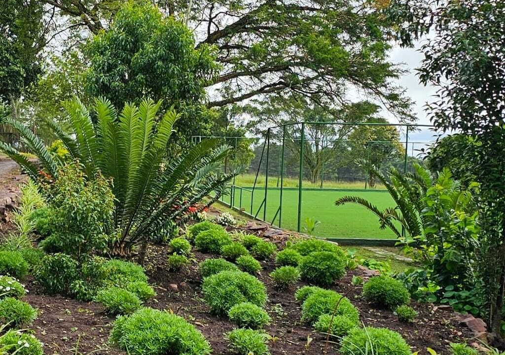 Photo of Outdoor in Mid Illovo