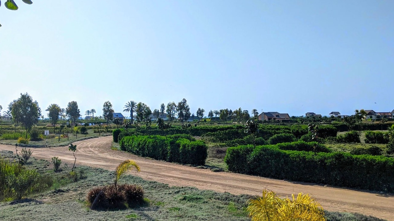 Photo of Others in Sunampe