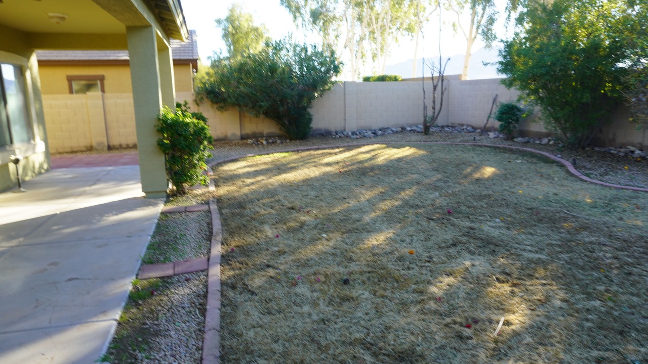 Photo of Outdoor in Sun Groves