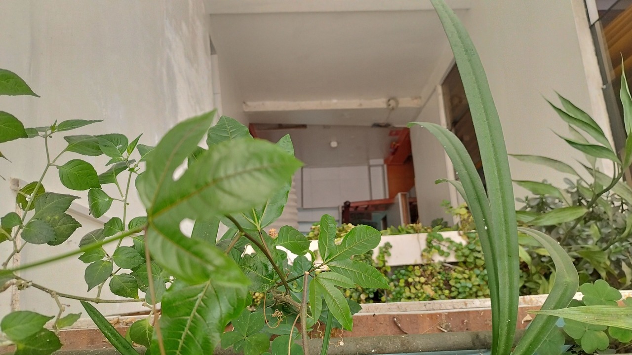 Photo of Outdoor in Aguas Calientes