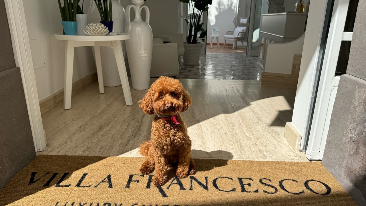 Photo of Others in Positano