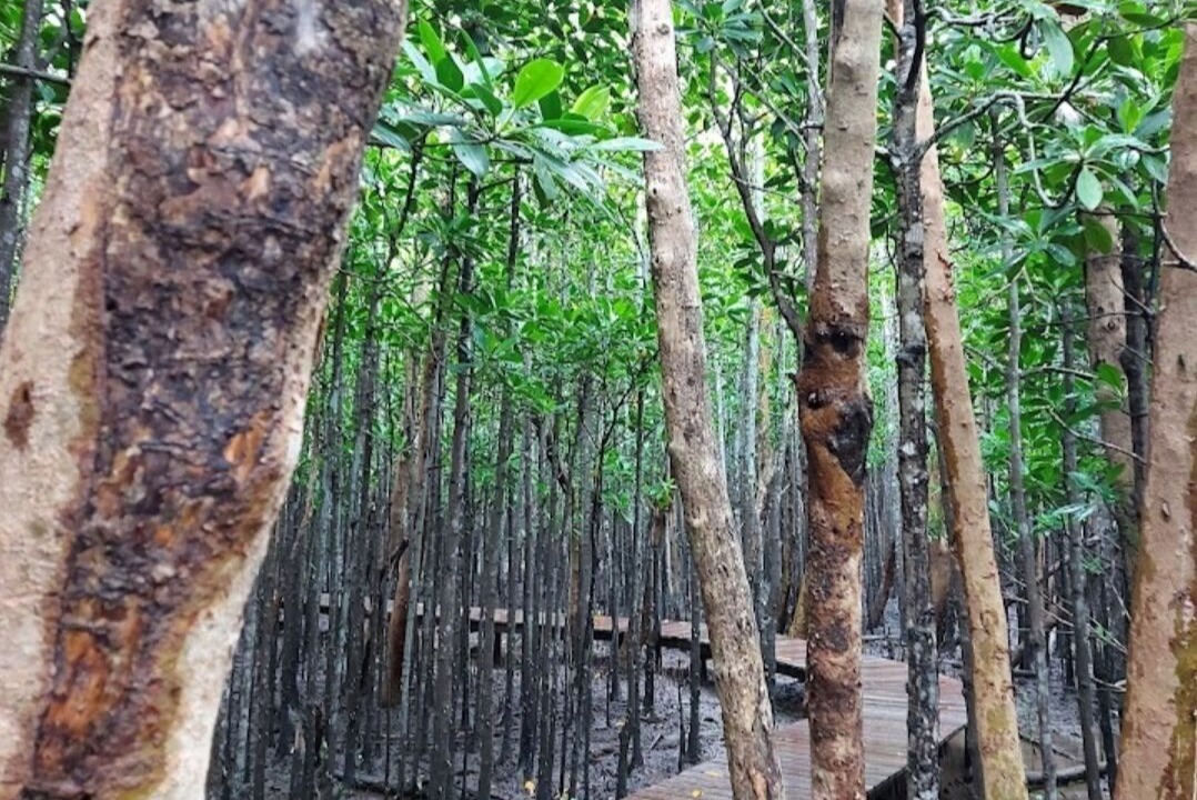 Photo of Outdoor in Mtunzini