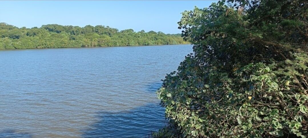 Photo of Outdoor in Mtunzini