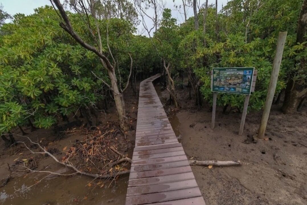 Photo of Outdoor in Mtunzini