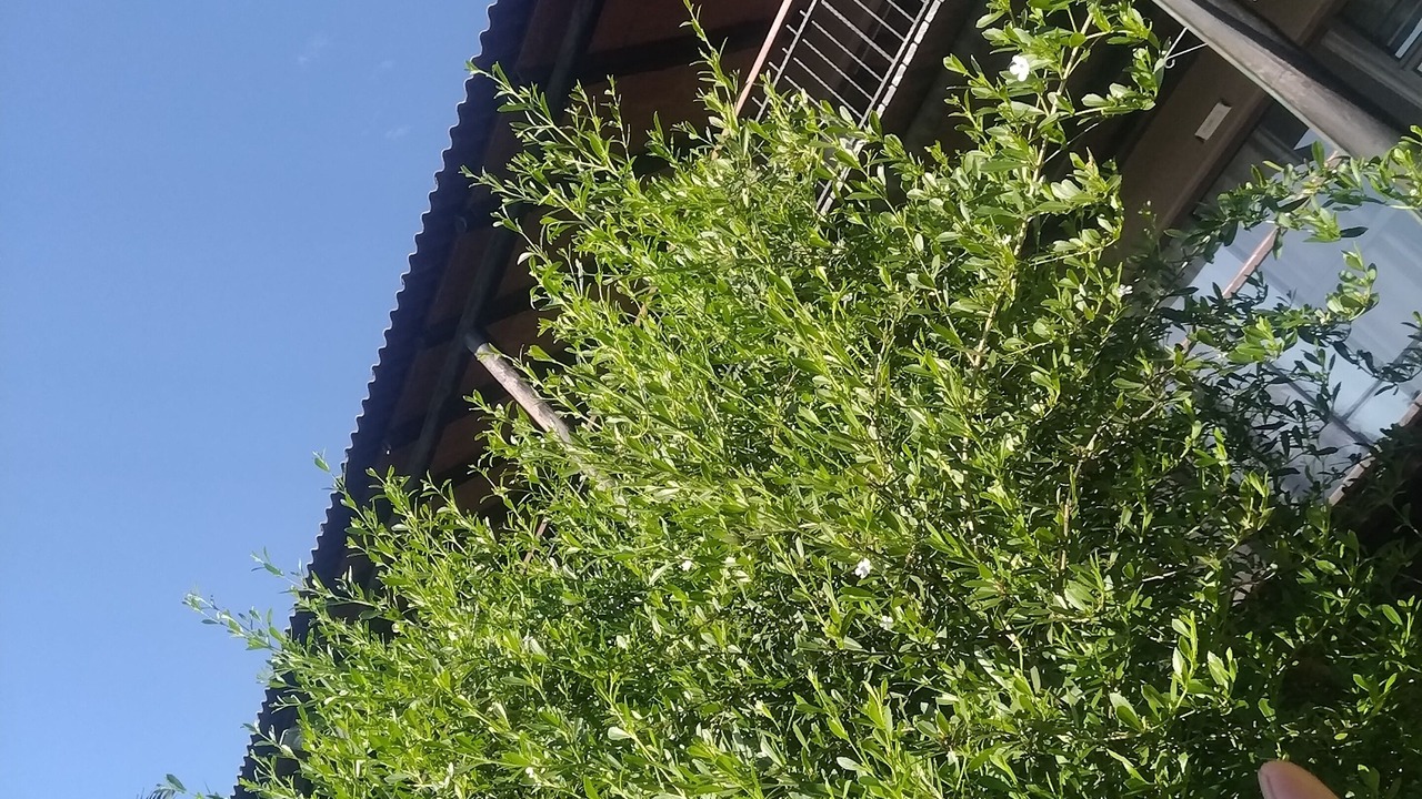 Photo of Outdoor in Mtunzini