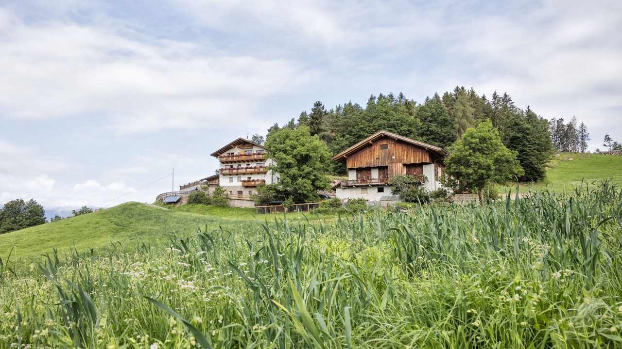 Photo of Outdoor in Verano
