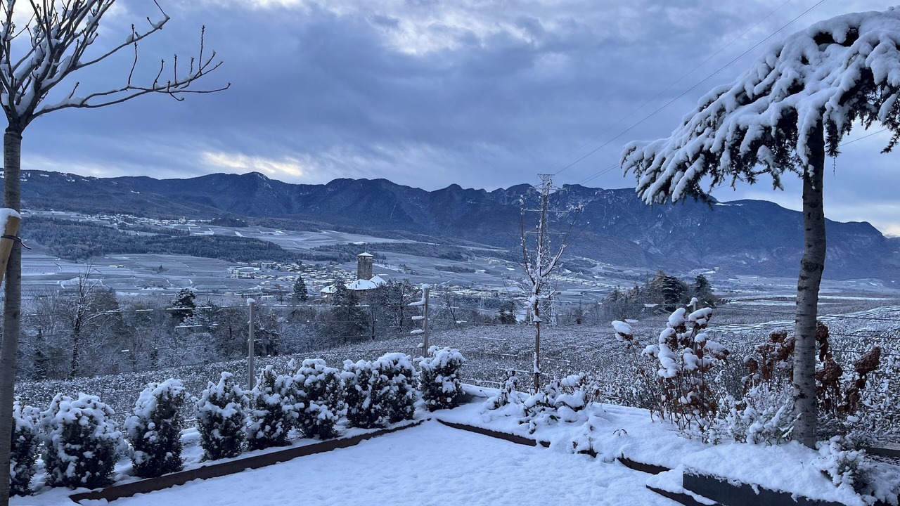 Photo of Outdoor in Tassullo