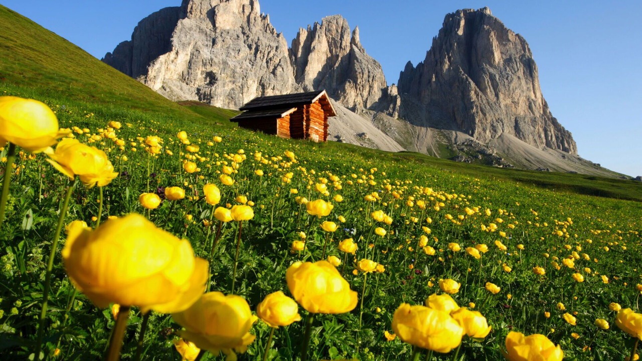 Photo of Outdoor in Soraga