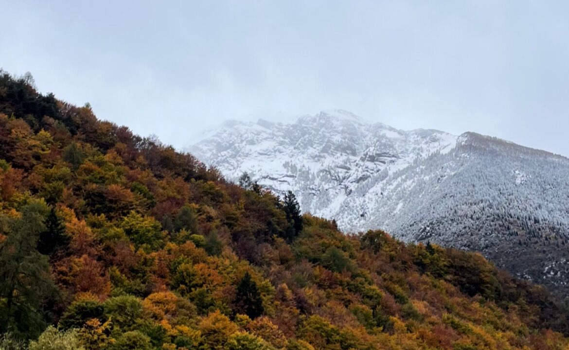 Photo of Outdoor in Andalo