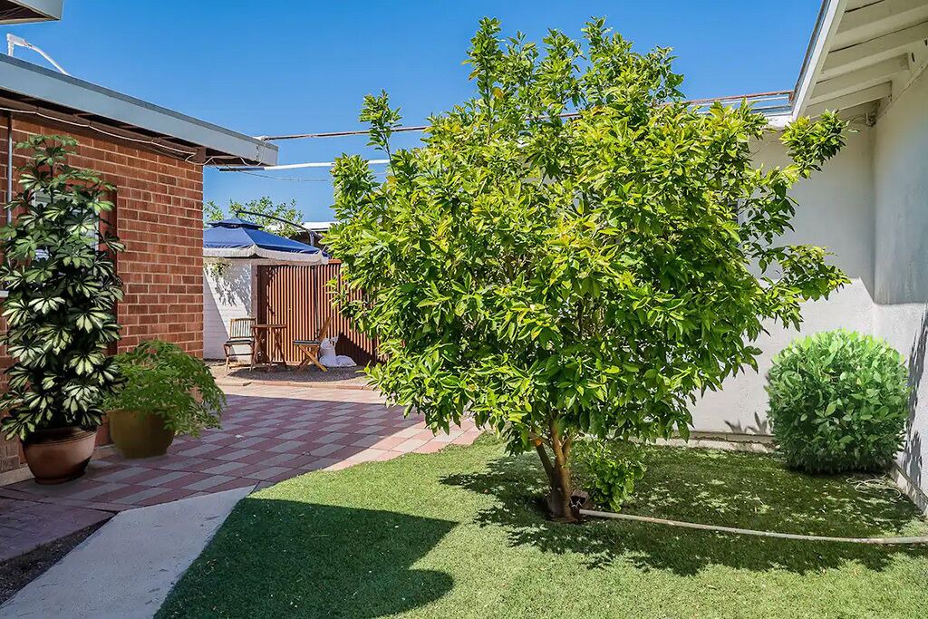 Photo of Outdoor in Blenman-Elm