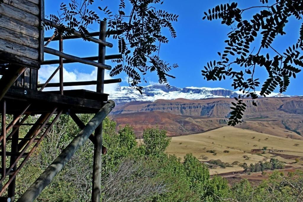 Photo of Outdoor in Giant's Castle Game Reserve