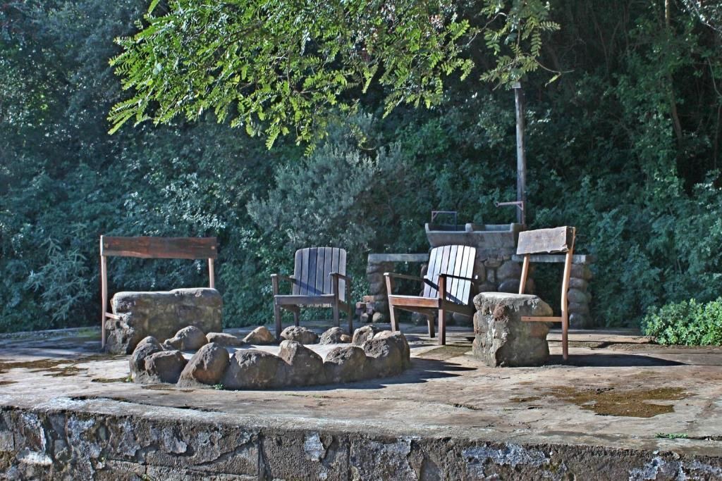 Photo of Outdoor in Giant's Castle Game Reserve