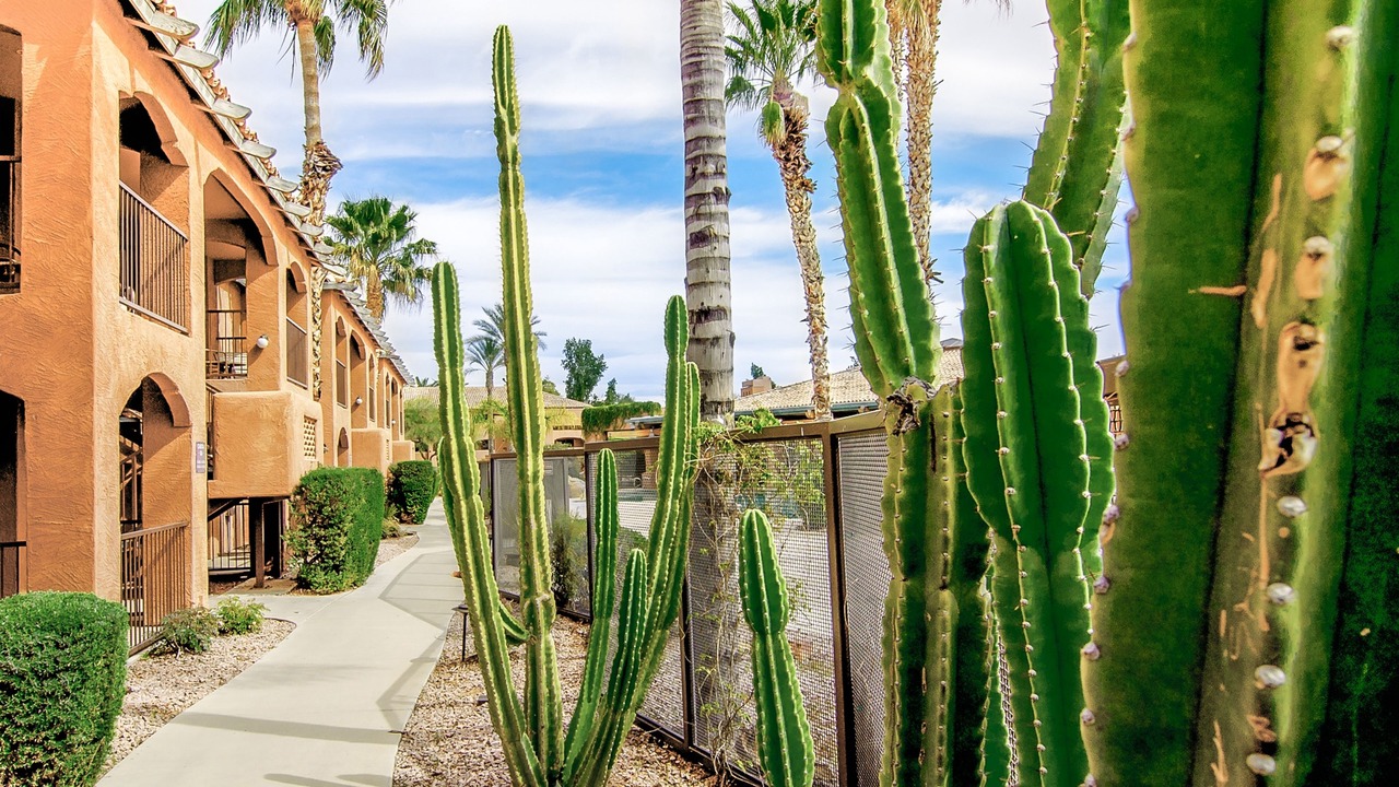Photo of Others in North Scottsdale
