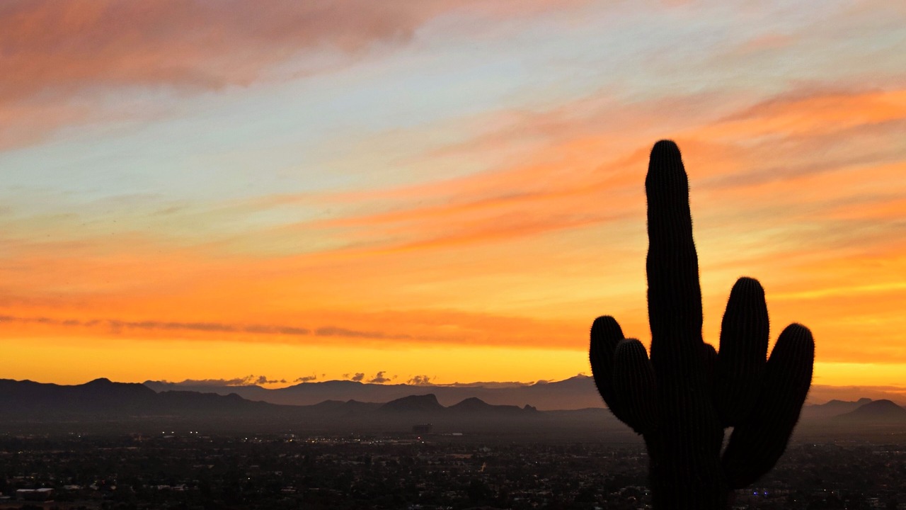 Photo of Outdoor in Scottsdale