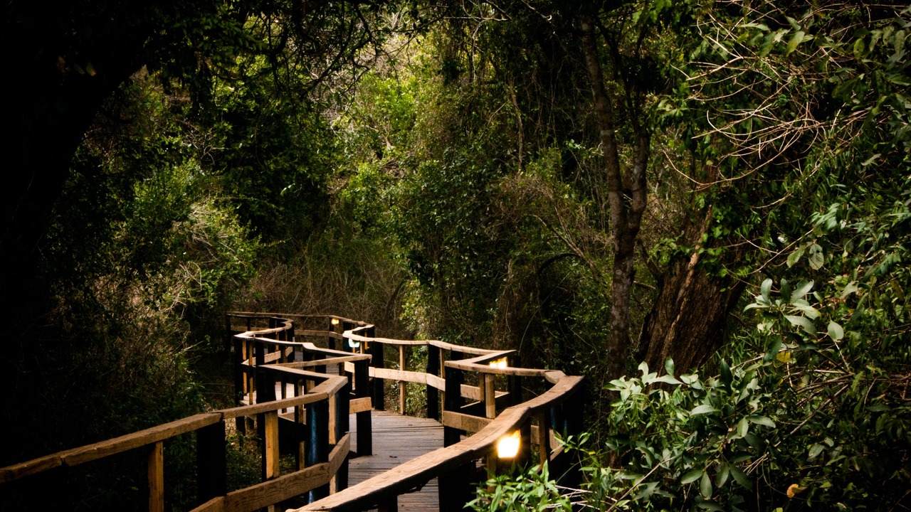 Photo of Outdoor in Hluhluwe