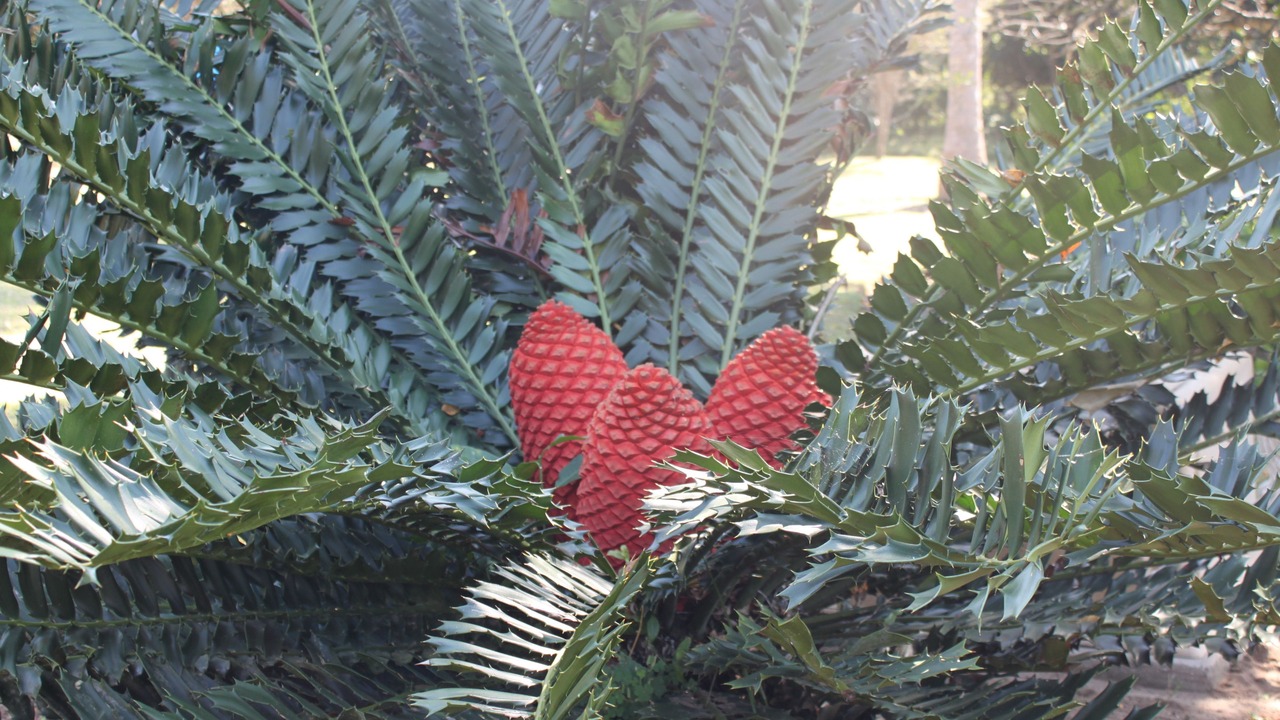 Photo of Outdoor in Hluhluwe