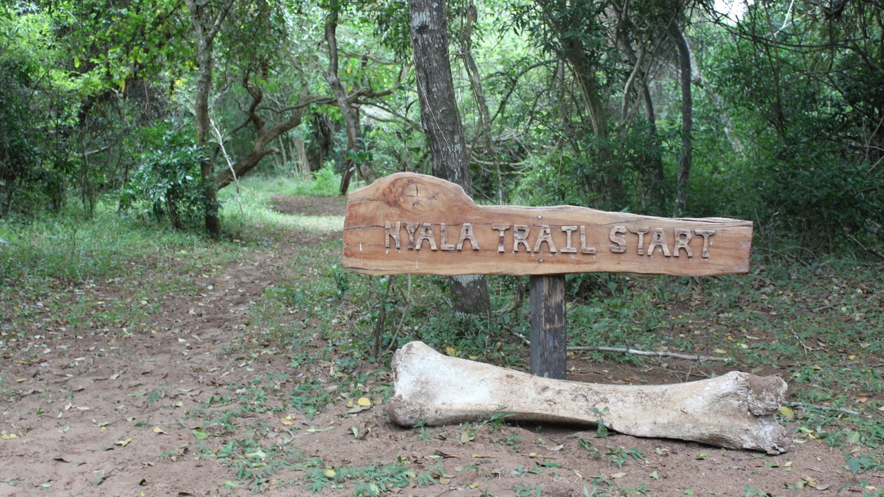 Photo of Outdoor in Hluhluwe