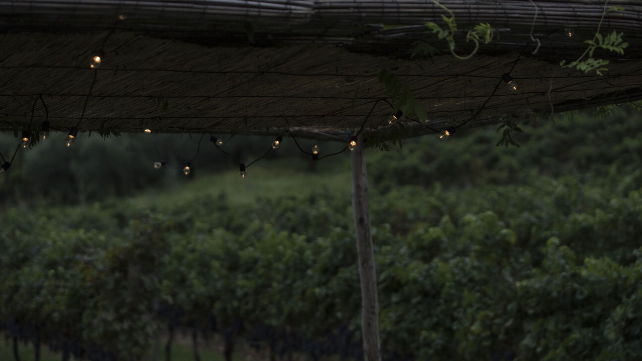 Photo of Outdoor in Arco