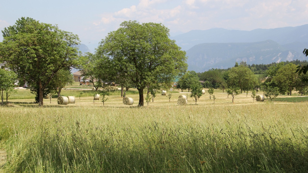 Photo of Outdoor in Fai della Paganella