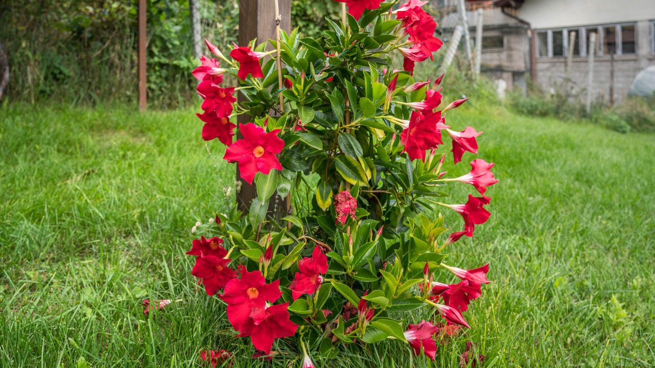 Photo of Outdoor in Grumes
