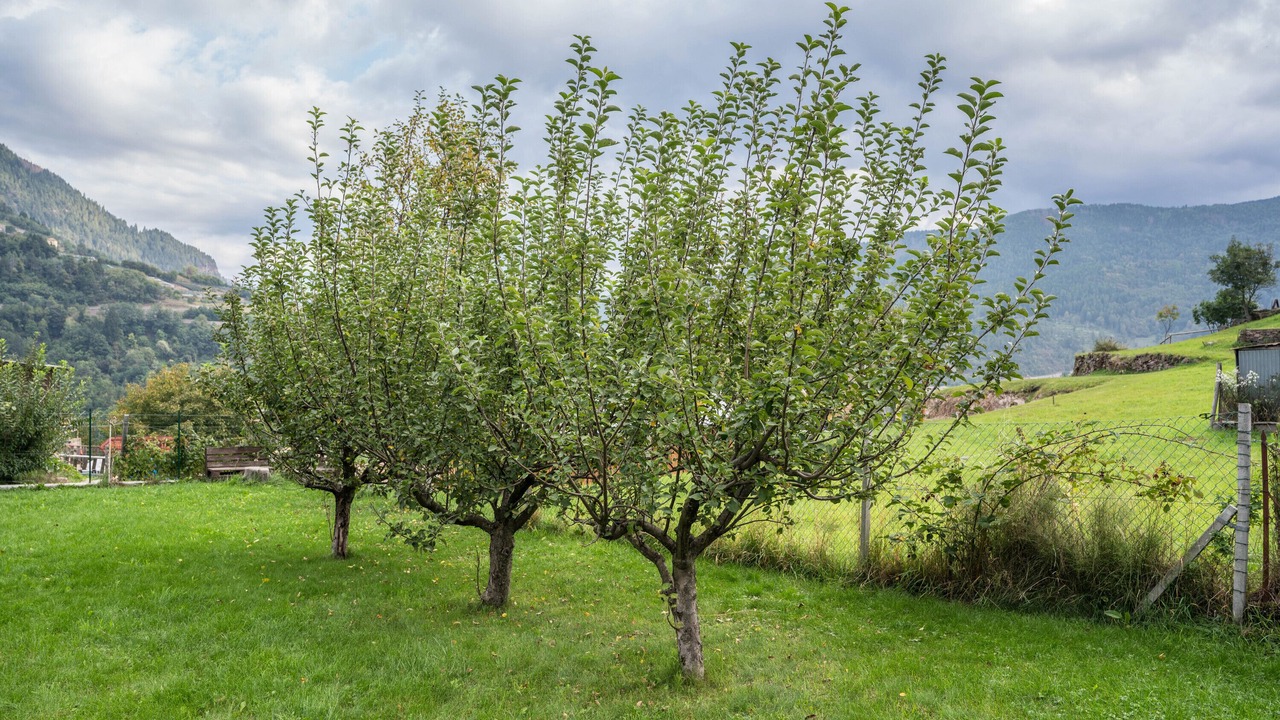 Photo of Outdoor in Grumes