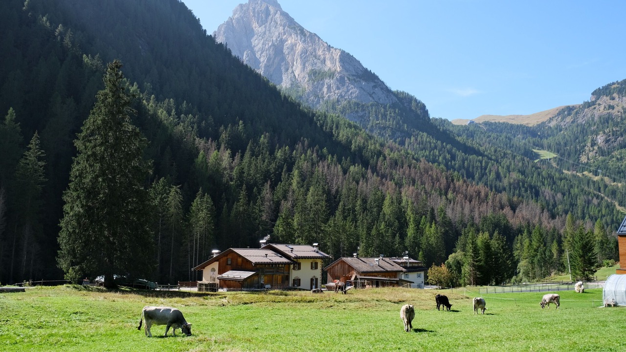 Photo of Outdoor in Penia