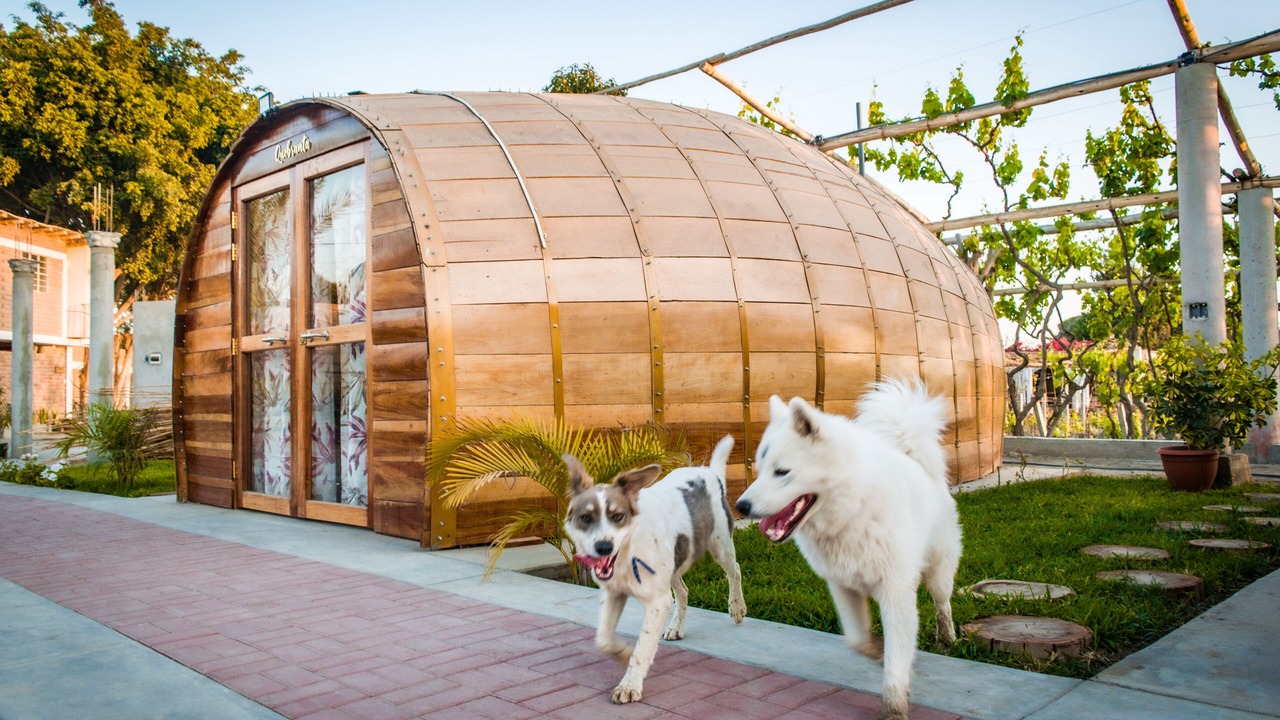 Photo of Outdoor in San Juan Bautista