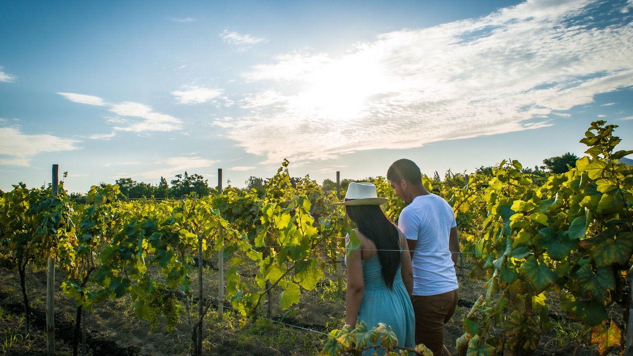 Photo of Outdoor in San Juan Bautista