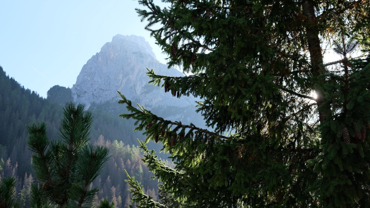 Photo of Outdoor in Penia
