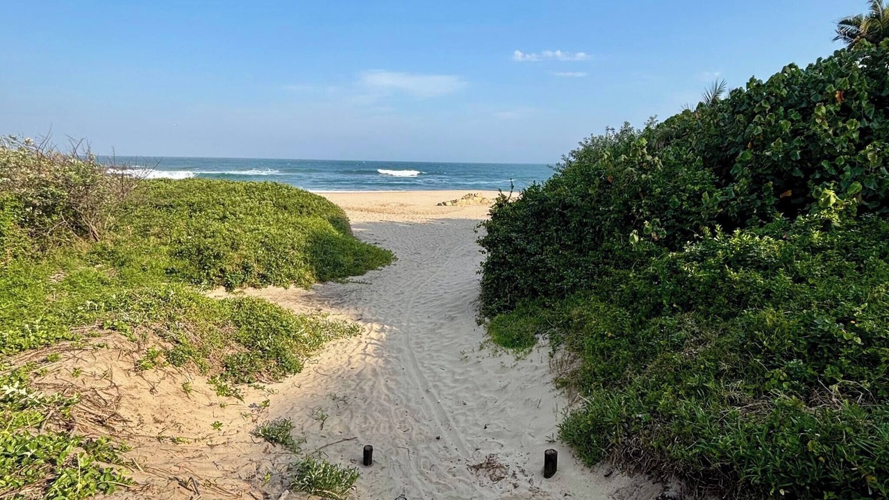 Photo of Outdoor in Port Edward