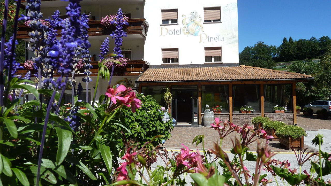 Photo of Outdoor in Bedollo