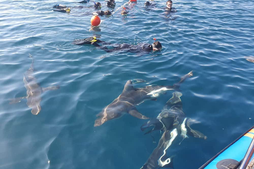 Photo of Others in Kingsburgh
