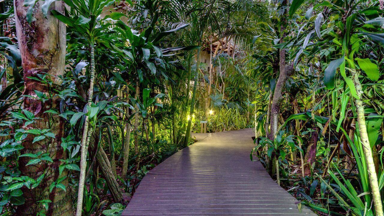 Photo of Outdoor in St. Lucia